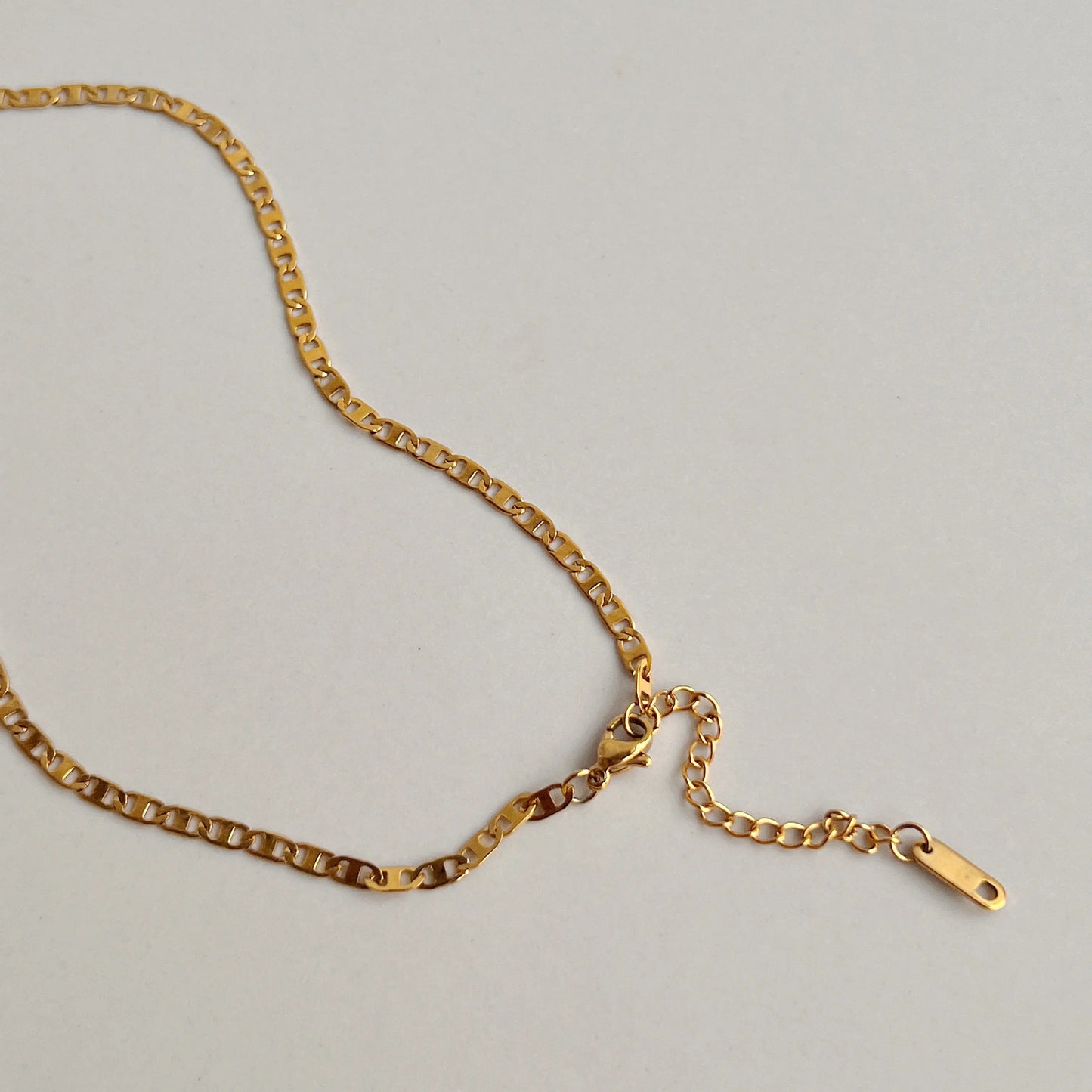 Polished Anklet