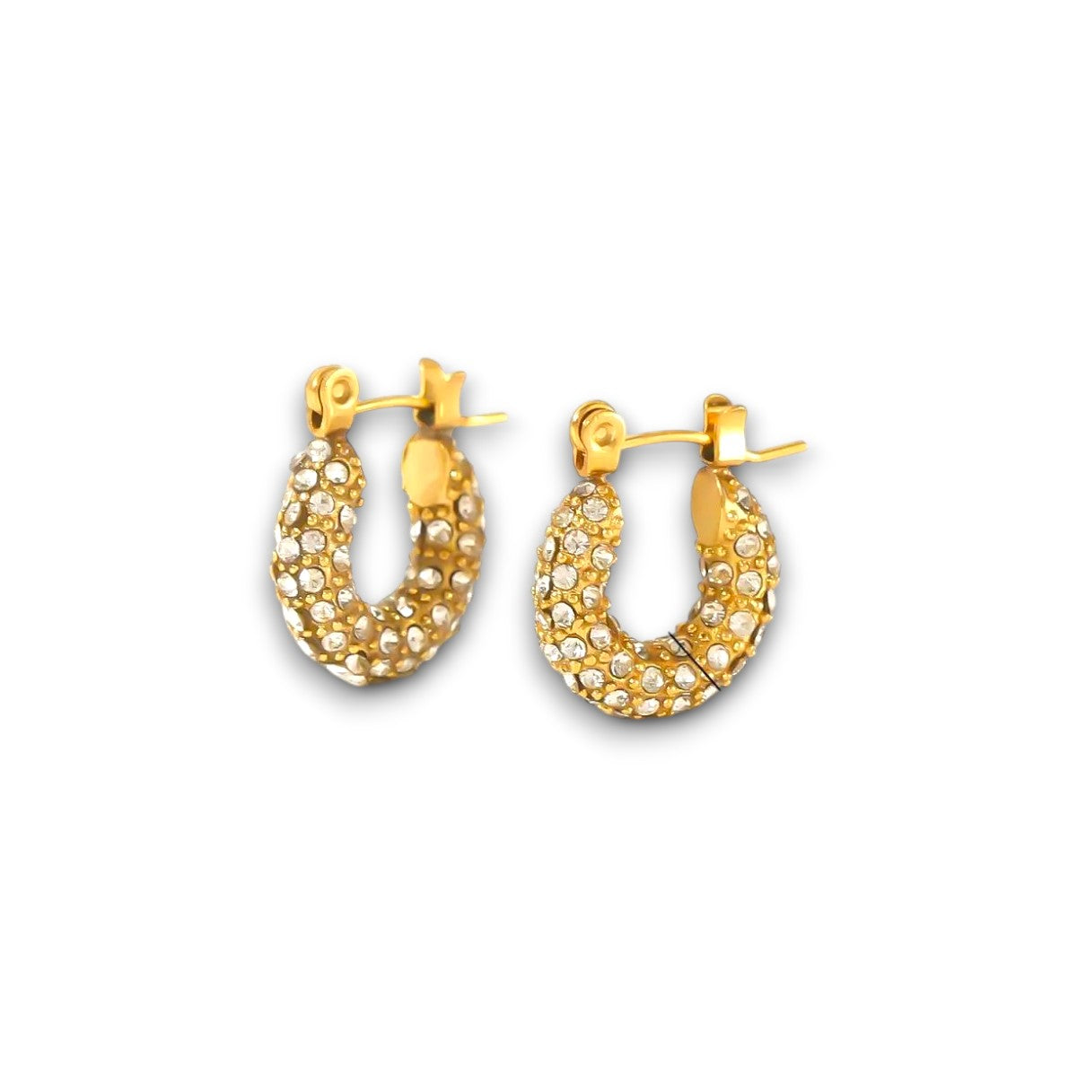 Orecchini rotondi di lusso con strass