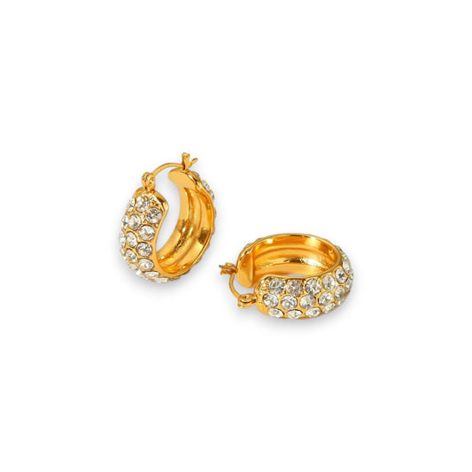 Luxe Full Zircon Earrings